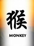 pic for Monkey chinese